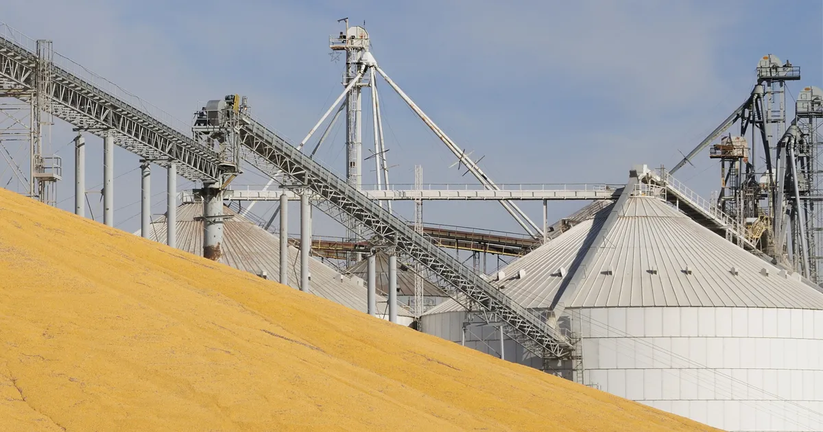 Agriculture featured image