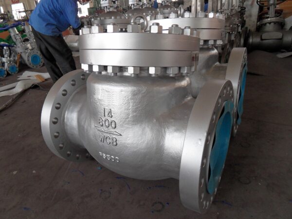 check valve